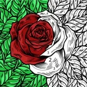 Color by Number: Coloring Book - Download Android APK
