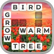 Word Wiz - Connect Words Game - Download Android APK