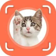 Cat Identifier - Cat Scanner - Download Android APK