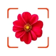 Plant App - Identifier & Care - Download Android APK