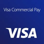 Visa Commercial Pay icon
