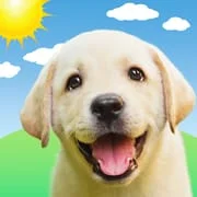 Weather Puppy - App & Widget - Download Android APK