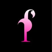 Flamingo - Download Android APK