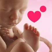 Preggers: Pregnancy & Baby App - Download Android APK