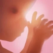 Pregnancy + | Tracker App - Download Android APK