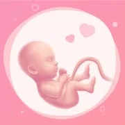 Pregnancy Tracker Week By Week - Download Android APK