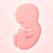 My Pregnancy - Baby Tracker - Download Android APK