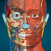 Anatomy Learning - 3D Anatomy - Download Android APK