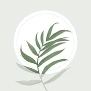 Blossom - Plant Identifier - Download Android APK