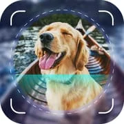Dog Scanner: Breed Identifier - Download Android APK