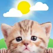Weather Kitty - App & Widget - Download Android APK