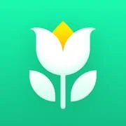 Plant Parent: Plant Care Guide