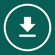 Story & Status Saver App - Download Android APK