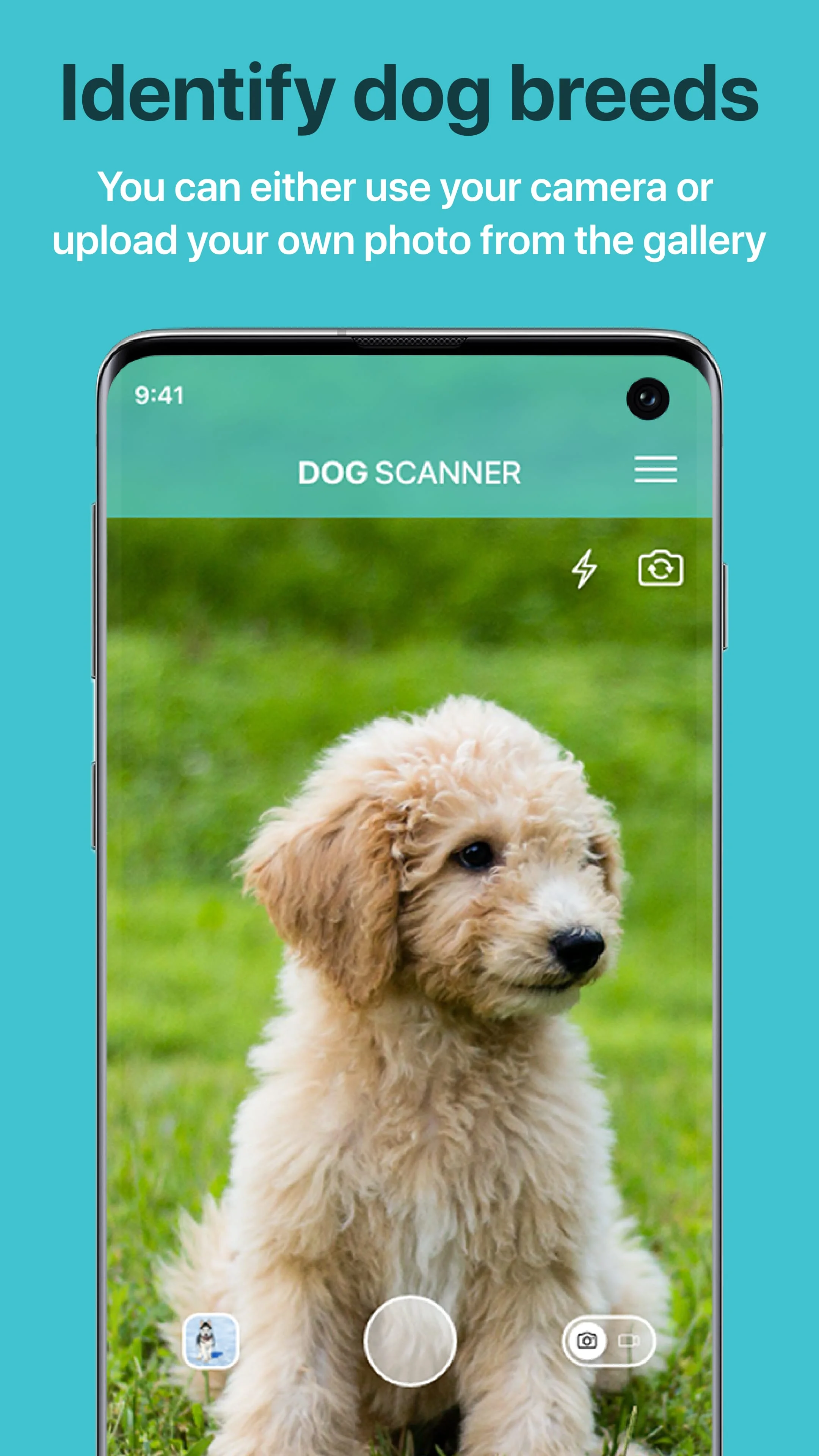 Dog Scanner: Breed Recognition Screenshot 1
