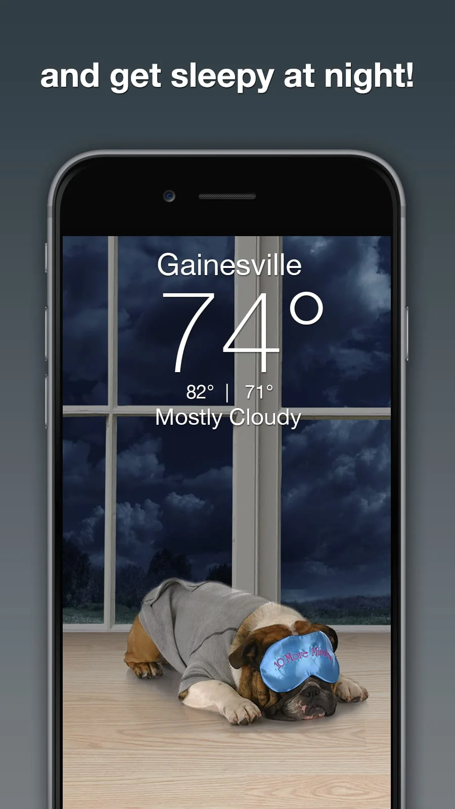 Weather Puppy - App & Widget Screenshot 3