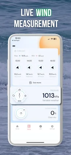 Anemometer - Wind Weather Screenshot 4