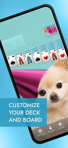 Spider Solitaire Screenshot 3