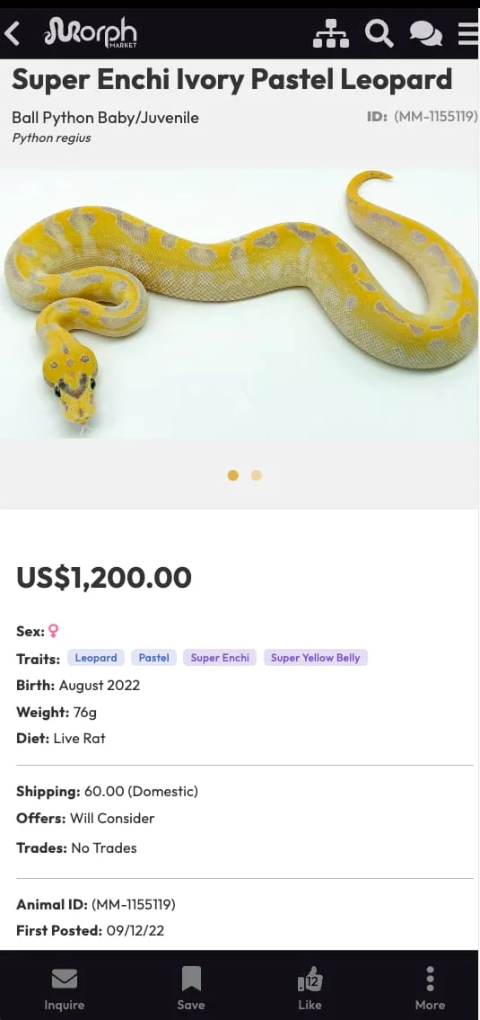 MorphMarket Screenshot 4