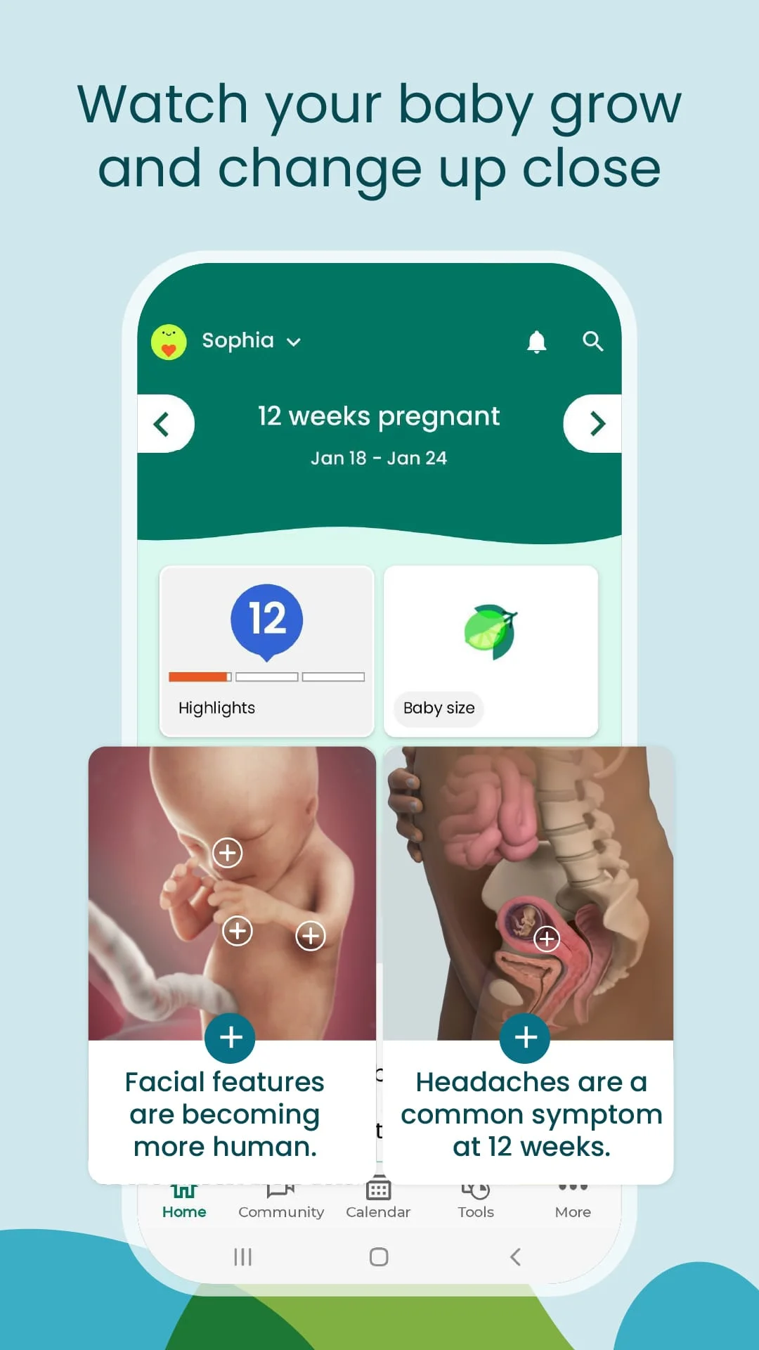 Pregnancy App & Baby Tracker Screenshot 2