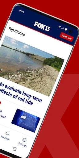 FOX 13 Tampa Bay: News Screenshot 2