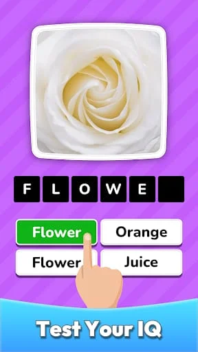 Zoom Quiz: Close Up Pics Game Screenshot 3