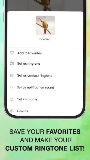Bird Calls, Sounds & Ringtones Screenshot 4