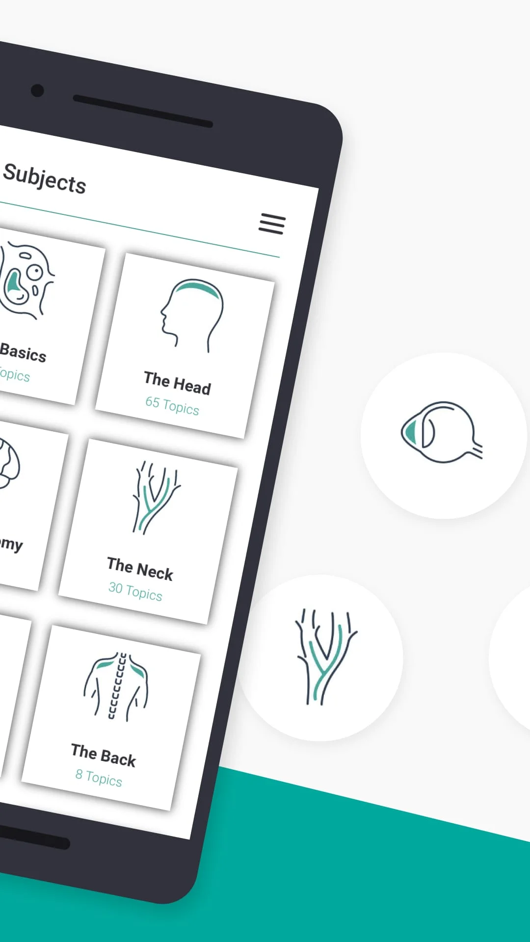 Teach Me Anatomy Screenshot 2