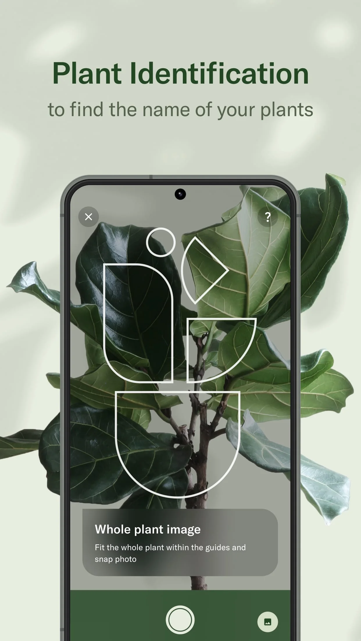 Planta - Care for your plants Screenshot 3