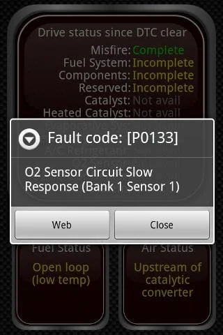 Torque Lite (OBD2 & Car) Screenshot 2