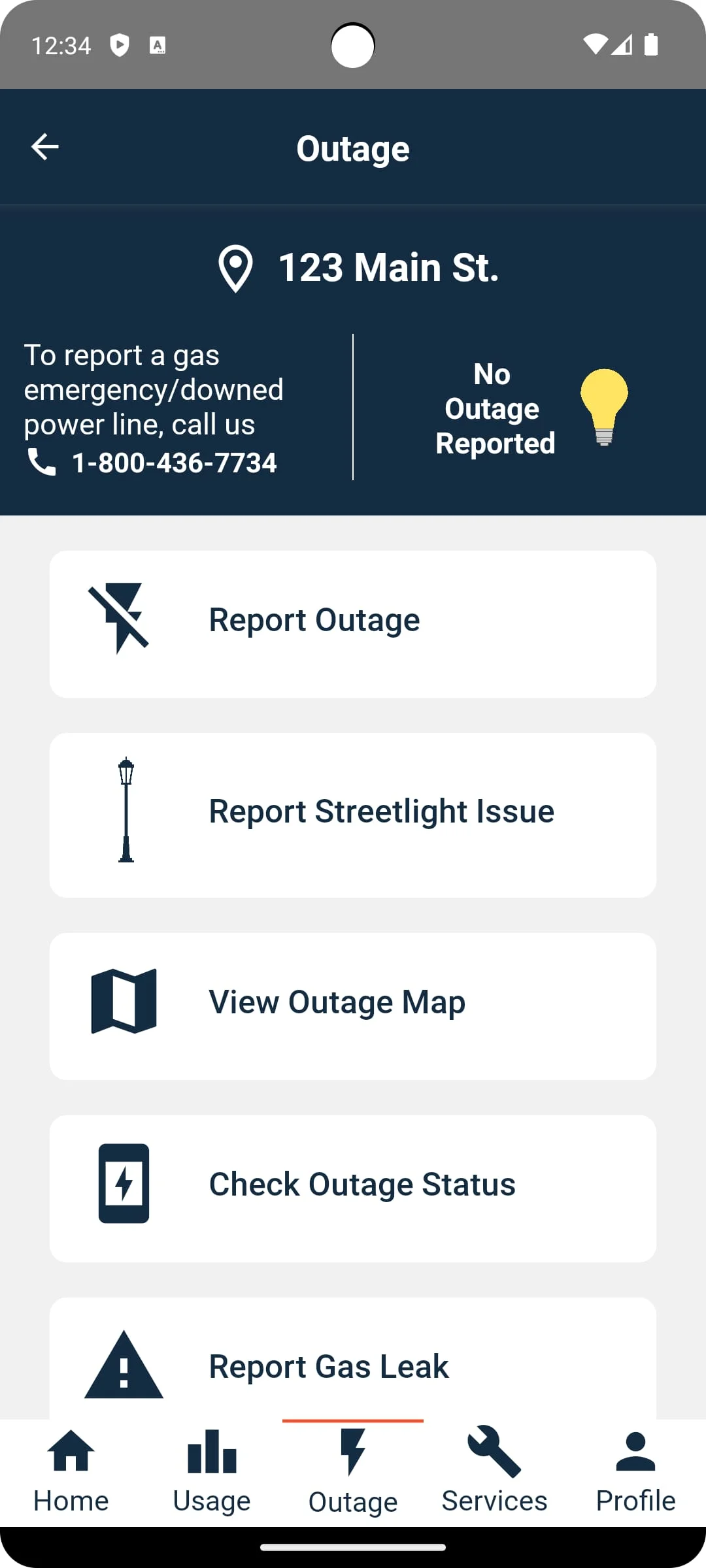 PSEG Screenshot 4