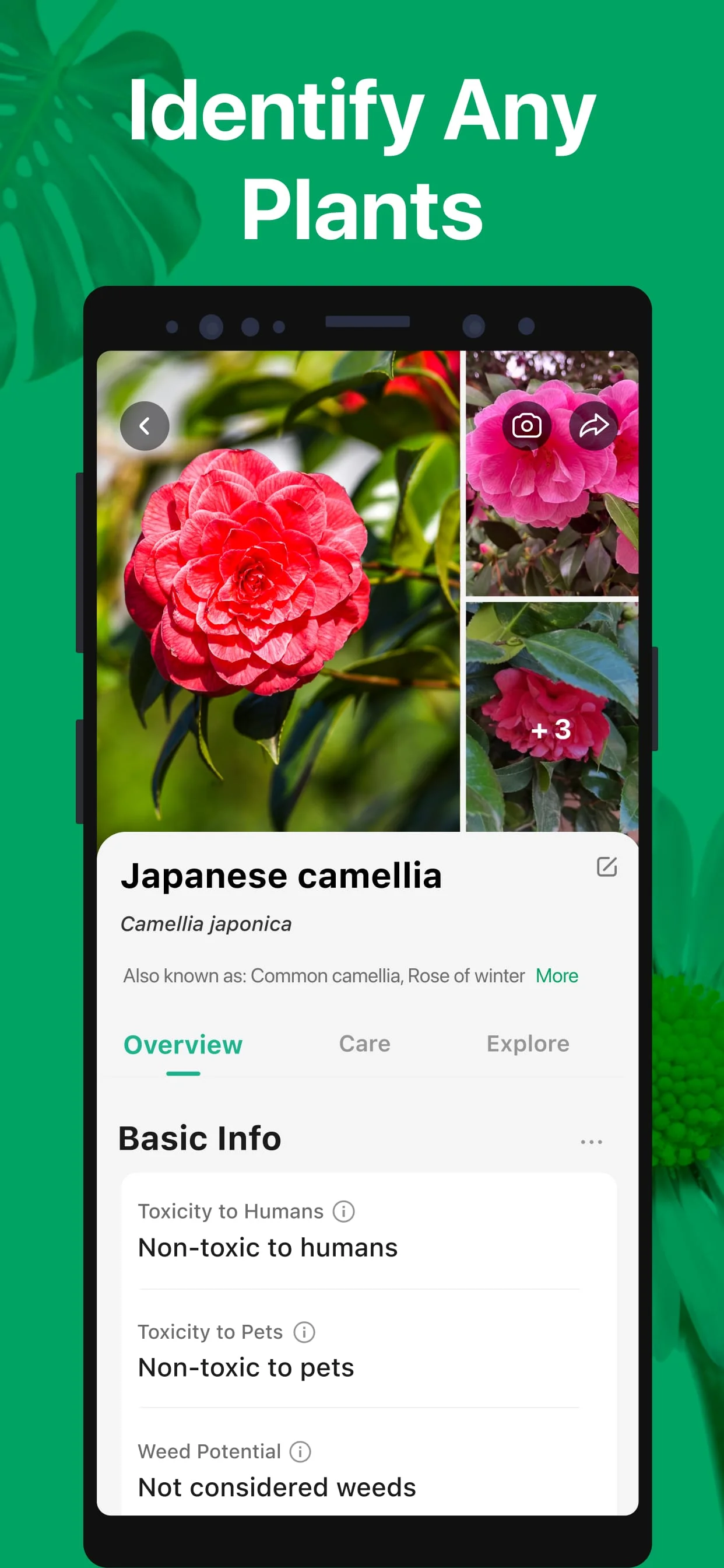 PictureThis - Plant Identifier Screenshot 2