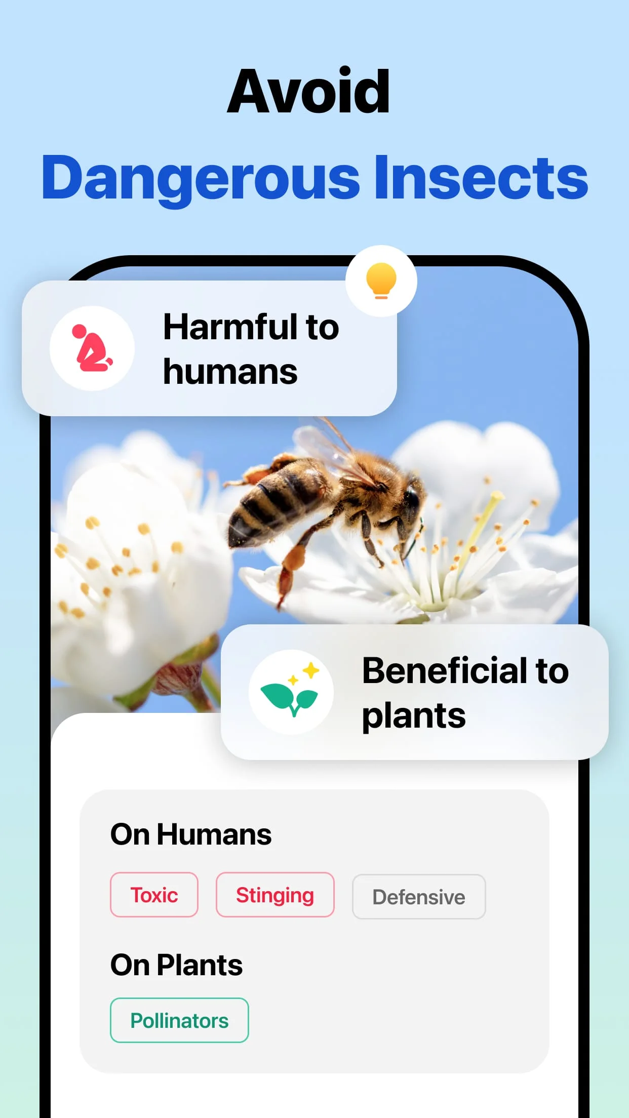 Picture Insect: Bug Identifier Screenshot 3