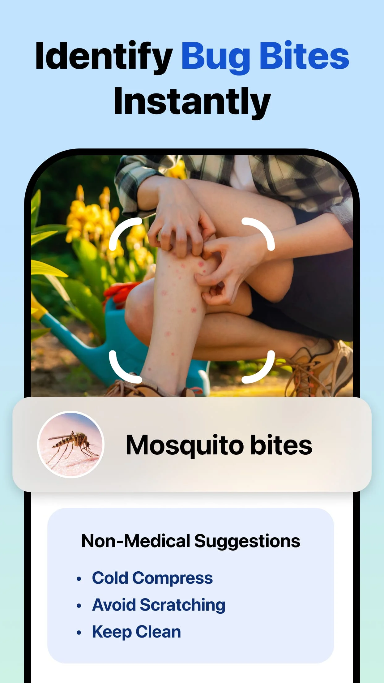 Picture Insect: Bug Identifier Screenshot 4