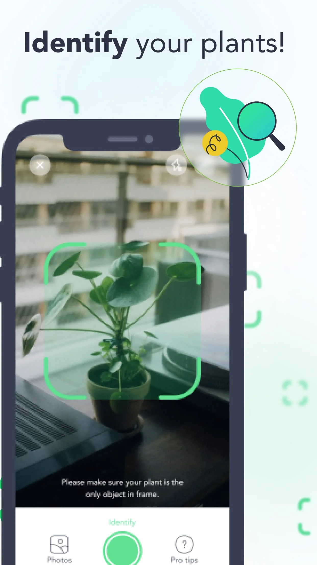Flora: Plant Care & Identifier Screenshot 3