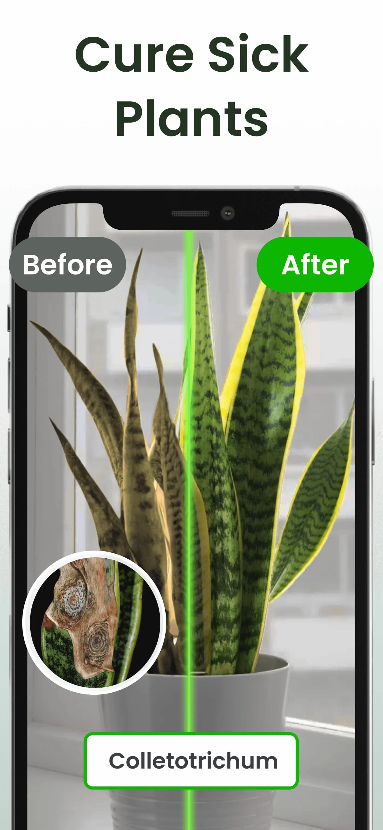 Plant Identifier: Plantiary Screenshot 3