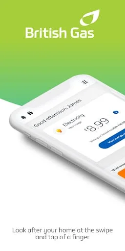 British Gas Screenshot 1