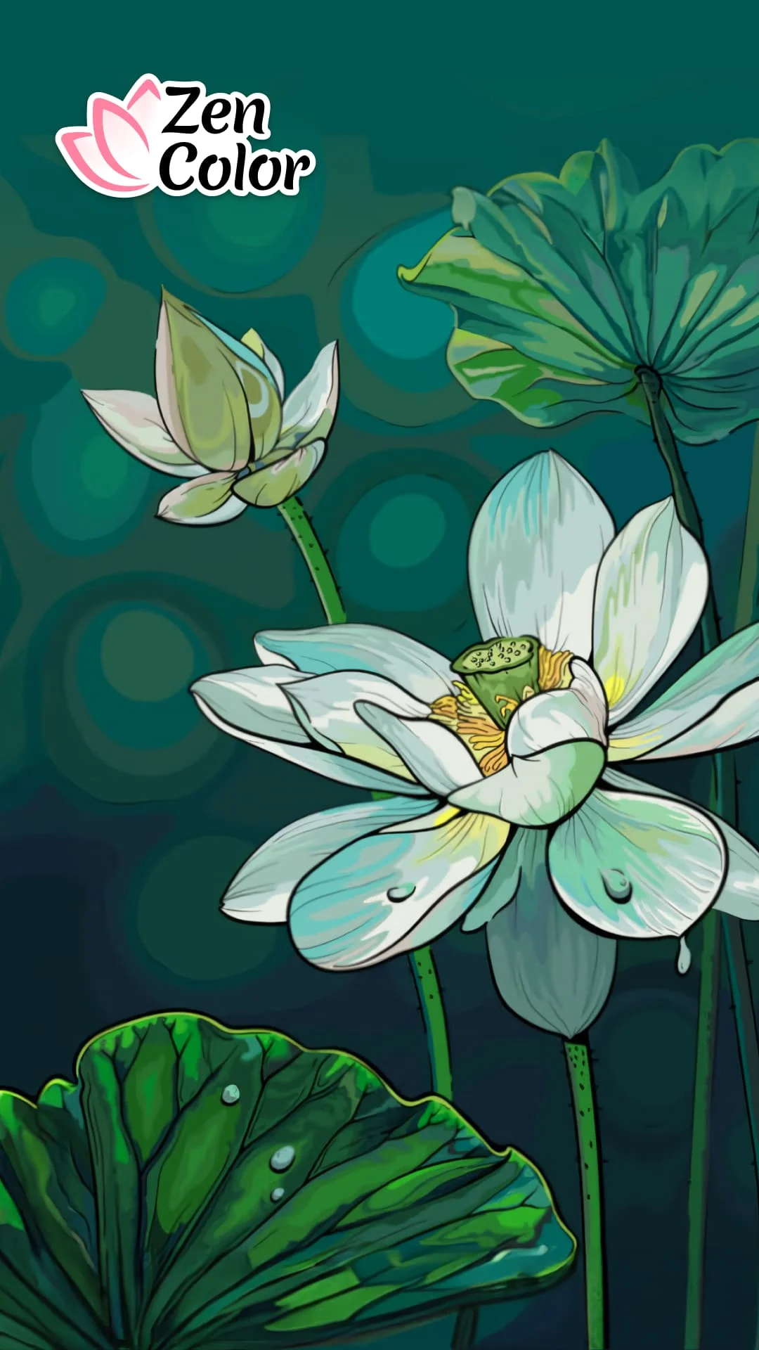Zen Color - Color By Number Screenshot 1