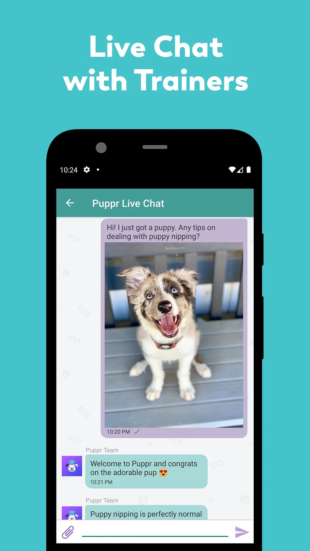 Puppr - Dog Training & Tricks Screenshot 4