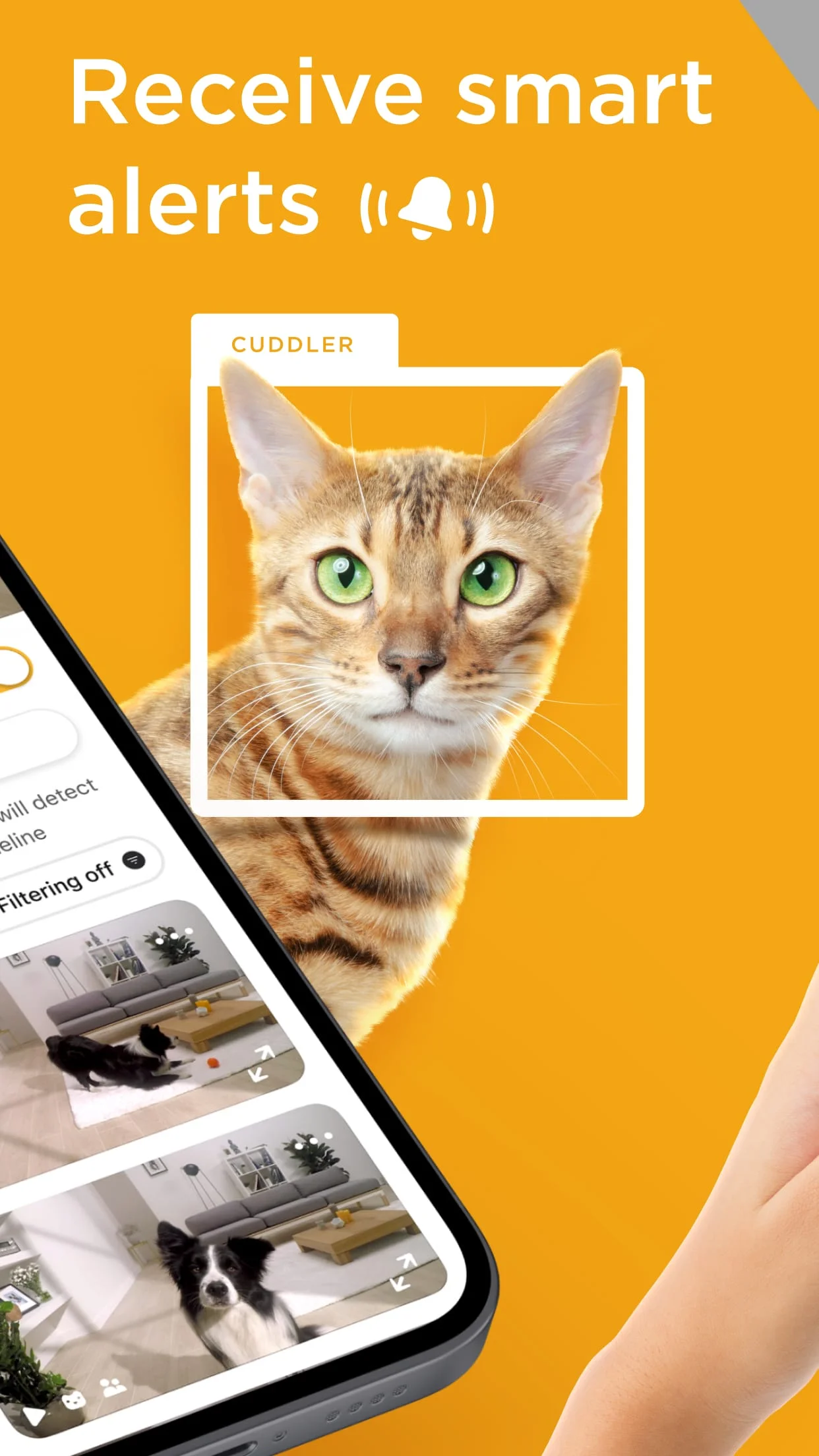 Petcube Screenshot 2