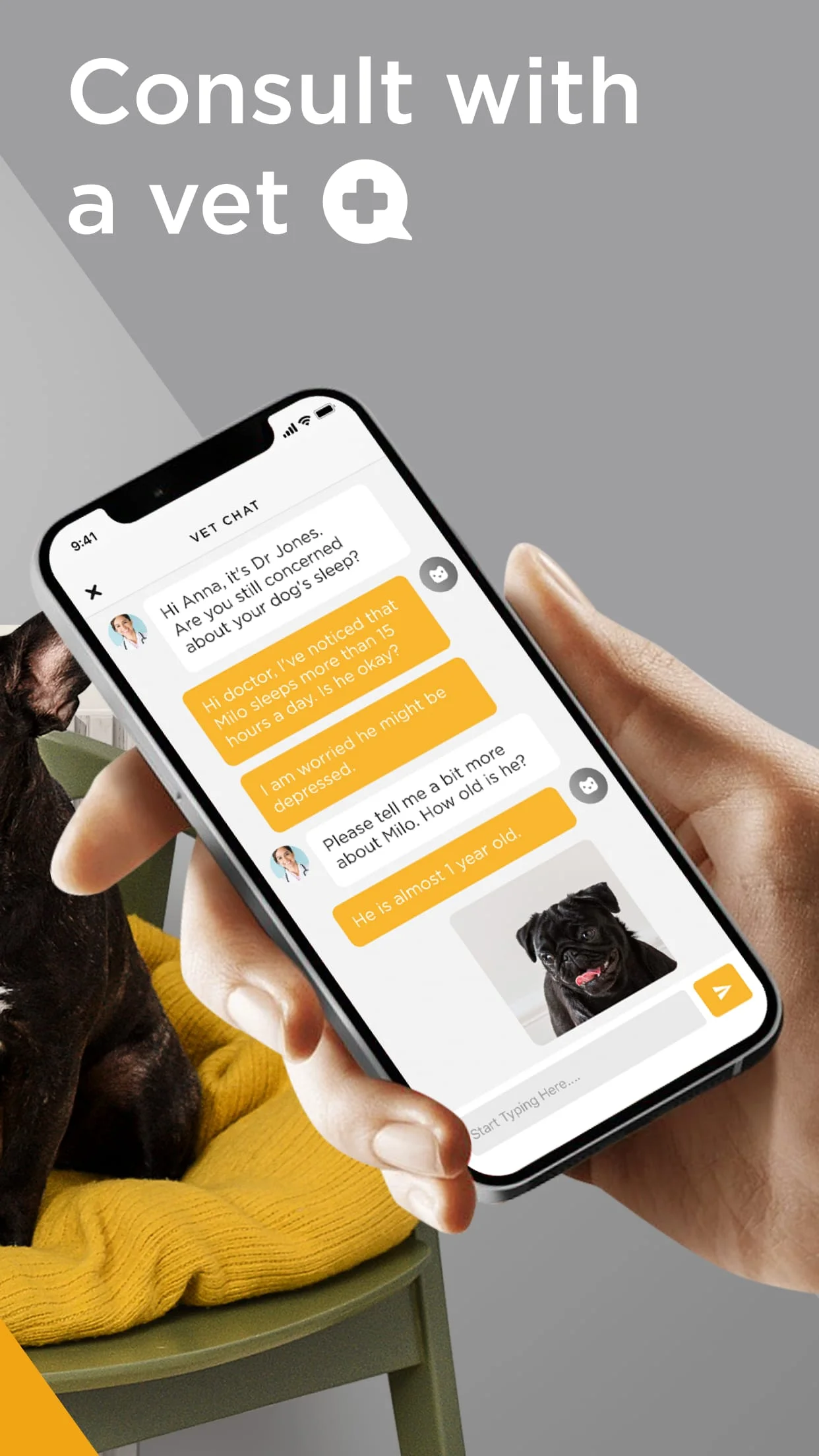 Petcube Screenshot 4