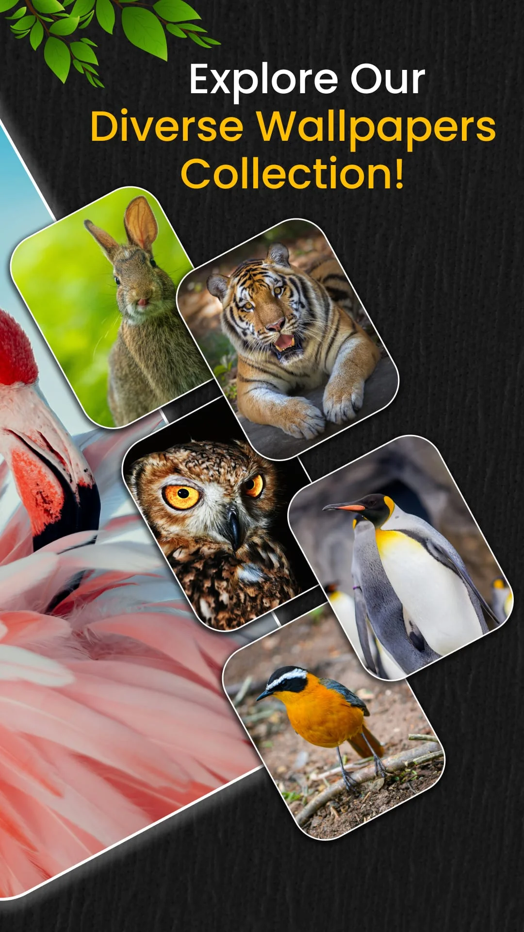 Animal Ringtones Screenshot 4