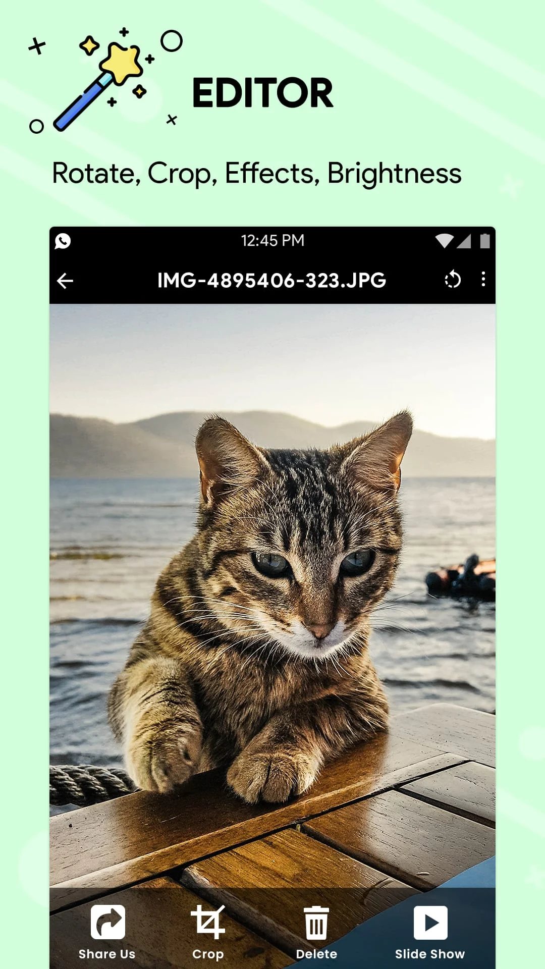 Gallery Screenshot 3