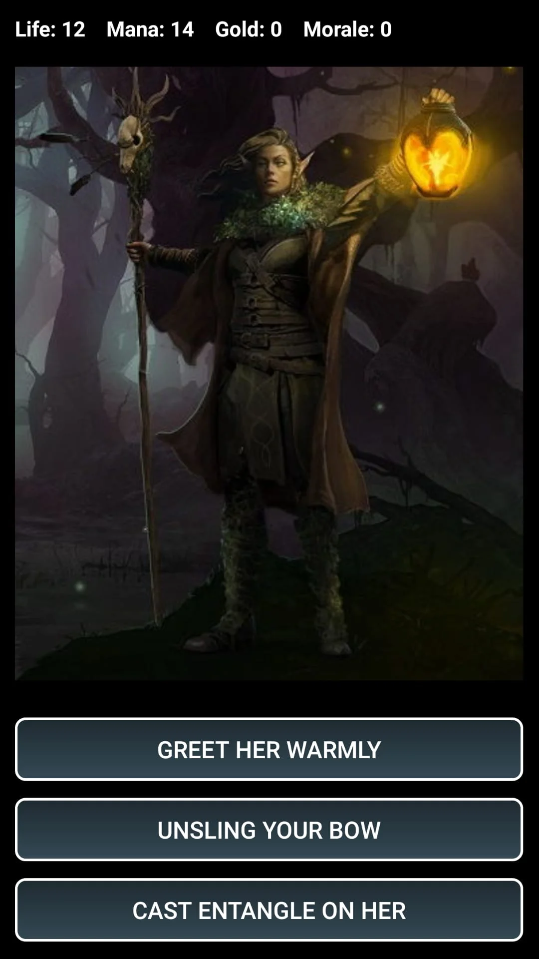 Dungeons and Decisions RPG Screenshot 2